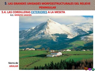Sierra de
ARALAR
5.4. LAS CORDILLERAS EXTERIORES A LA MESETA
4.1. MONTES VASCOS
5. LAS GRANDES UNIDADES MORFOESTRUCTURALES DEL RELIEVE
PENINSULAR
 