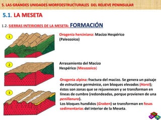Orogenia alpina: fractura del macizo. Se genera un paisaje
de estructura germánica, con bloques elevados (Horst);
éstos son zonas que se rejuvenecen y se transforman en
líneas de cumbre (redondeadas, porque provienen de una
penillanura).
Los bloques hundidos (Graben) se transforman en fosas
sedimentarias del interior de la Meseta.
Orogenia herciniana: Macizo Hespérico
(Paleozoico)
1
2
3
Arrasamiento del Macizo
Hespérico (Mesozoico)
5.1. LA MESETA
1.2. SIERRAS INTERIORES DE LA MESETA: FORMACIÓN
5. LAS GRANDES UNIDADES MORFOESTRUCTURALES DEL RELIEVE PENINSULAR
 