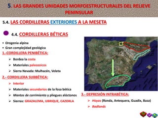 4.4. CORDILLERAS BÉTICAS
• Orogenia alpina
• Gran complejidad geológica
1.-CORDILLERA PENIBÉTICA:
 Bordea la costa
 Materiales paleozoicos
 Sierra Nevada: Mulhacén, Veleta
2.- CORDILLERA SUBBÉTICA:
 Interior
 Materiales secundarios de la fosa bética
 Mantos de corrimiento y pliegues alóctonos
 Sierras: GRAZALEMA, UBRIQUE, CAZORLA
3.- DEPRESIÓN INTRABÉTICA:
 Hoyas (Ronda, Antequera, Guadix, Baza)
 Badlands
5.4. LAS CORDILLERAS EXTERIORES A LA MESETA
5. LAS GRANDES UNIDADES MORFOESTRUCTURALES DEL RELIEVE
PENINSULAR
 