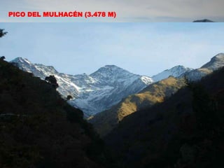 - Tema 1e. Grandes unidades morfoestructurales -
4. Las cordilleras exteriores a la Meseta
4.4. Cordilleras Béticas
PICO DEL MULHACÉN (3.478 M)
 