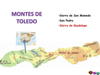 MONTES DE
TOLEDO
•Sierra de San Mamede
•San Pedro
•Sierra de Guadalupe
 
