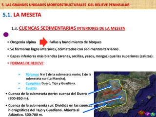 1.3. CUENCAS SEDIMENTARIAS INTERIORES DE LA MESETA
• Orogenia alpina
• Se formaron lagos interiores, colmatados con sedimentos terciarios.
• Capas inferiores más blandas (arenas, arcillas, yesos, margas) que las superiores (calizas).
• FORMAS DE RELIEVE:
Fallas y hundimiento de bloques
• Cuenca de la submeseta norte: cuenca del Duero
(800-850 m).
• Cuenca de la submeseta sur: Dividida en las cuencas
hidrográficas del Tajo y Guadiana. Abierta al
Atlántico. 500-700 m.
 Páramos: N y E de la submeseta norte; E de la
submeseta sur (La Mancha).
 Campiñas: Duero, Tajo y Guadiana.
 Cuestas
5.1. LA MESETA
5. LAS GRANDES UNIDADES MORFOESTRUCTURALES DEL RELIEVE PENINSULAR
 