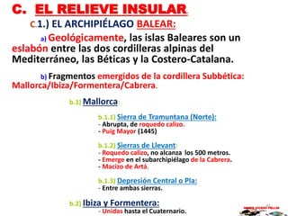 C. EL RELIEVE INSULAR.
C.1.) EL ARCHIPIÉLAGO BALEAR:
a) Geológicamente, las islas Baleares son un
eslabón entre las dos cordilleras alpinas del
Mediterráneo, las Béticas y la Costero-Catalana.
b) Fragmentos emergidos de la cordillera Subbética:
Mallorca/Ibiza/Formentera/Cabrera.
b.1) Mallorca:
b.1.1) Sierra de Tramuntana (Norte):
- Abrupta, de roquedo calizo.
- Puig Mayor (1445)
b.1.2) Sierras de Llevant:
- Roquedo calizo, no alcanza los 500 metros.
- Emerge en el subarchipiélago de la Cabrera.
- Macizo de Artá.
b.1.3) Depresión Central o Pla:
- Entre ambas sierras.
b.2) Ibiza y Formentera:
- Unidas hasta el Cuaternario.
MARIO VICEDO PELLÍN95
 