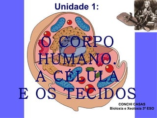 Unidade 1:  O CORPO HUMANO.  A CÉLULA  E OS TECIDOS CONCHI CASAS Bioloxía e Xeoloxía 3º ESO 