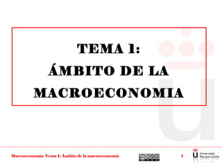 TEMA 1:
                 ÁMBITO DE LA
          MACROECONOMIA



Macroeconomia- Tema 1: Ámbito de la macroeconomía   1
 