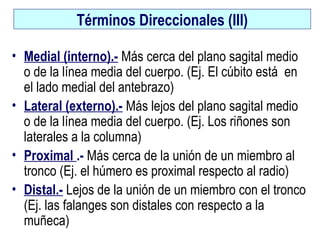 Términos Direccionales (III)Términos Direccionales (III)
• Medial (interno).- Más cerca del plano sagital medio
o de la línea media del cuerpo. (Ej. El cúbito está en
el lado medial del antebrazo)
• Lateral (externo).- Más lejos del plano sagital medio
o de la línea media del cuerpo. (Ej. Los riñones son
laterales a la columna)
• Proximal .- Más cerca de la unión de un miembro al
tronco (Ej. el húmero es proximal respecto al radio)
• Distal.- Lejos de la unión de un miembro con el tronco
(Ej. las falanges son distales con respecto a la
muñeca)
 