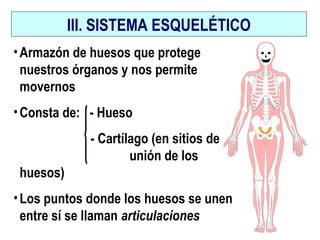 III. SISTEMA ESQUELÉTICO
•Armazón de huesos que protege
nuestros órganos y nos permite
movernos
•Consta de: - Hueso
- Cartílago (en sitios de
unión de los
huesos)
•Los puntos donde los huesos se unen
entre sí se llaman articulaciones
 