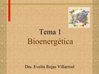 Tema 1
 Bioenergética

Dra. Evelin Rojas Villarroel
 