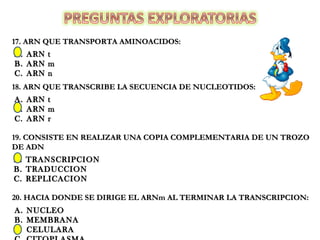 Marn Tarn Rarn Tema 1 biologia molecular | PPT