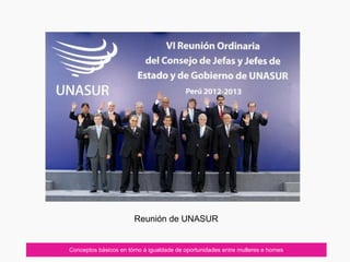 Conceptos básicos en tórno á igualdade de oportunidades entre mulleres e homes
Reunión de UNASUR
 