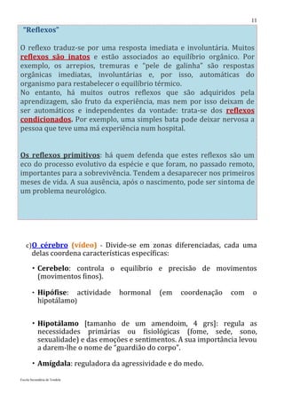 11
 “Reflexos”

O reflexo traduz-se por uma resposta imediata e involuntária. Muitos
reflexos são inatos e estão associados ao equilíbrio orgânico. Por
exemplo, os arrepios, tremuras e “pele de galinha” são respostas
orgânicas imediatas, involuntárias e, por isso, automáticas do
organismo para restabelecer o equilíbrio térmico.
No entanto, há muitos outros reflexos que são adquiridos pela
aprendizagem, são fruto da experiência, mas nem por isso deixam de
ser automáticos e independentes da vontade: trata-se dos reflexos
condicionados. Por exemplo, uma simples bata pode deixar nervosa a
pessoa que teve uma má experiência num hospital.


Os reflexos primitivos: há quem defenda que estes reflexos são um
eco do processo evolutivo da espécie e que foram, no passado remoto,
importantes para a sobrevivência. Tendem a desaparecer nos primeiros
meses de vida. A sua ausência, após o nascimento, pode ser sintoma de
um problema neurológico.




   c)O cérebro (vídeo) - Divide-se em zonas diferenciadas, cada uma
       delas coordena características específicas:
        Cerebelo: controla o equilíbrio e precisão de movimentos
         (movimentos finos).

        Hipófise:             actividade   hormonal   (em   coordenação   com   o
           hipotálamo)


        Hipotálamo [tamanho de um amendoim, 4 grs]: regula as
         necessidades primárias ou fisiológicas (fome, sede, sono,
         sexualidade) e das emoções e sentimentos. A sua importância levou
         a darem-lhe o nome de “guardião do corpo”.

        Amígdala: reguladora da agressividade e do medo.
Escola Secundária de Tondela
 