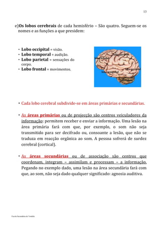 13



   e) Os lobos cerebrais de cada hemisfério – São quatro. Seguem-se os
     nomes e as funções a que presidem:



        Lobo occipital = visão.
        Lobo temporal = audição.
        Lobo parietal = sensações do
         corpo.
        Lobo frontal = movimentos.




         Cada lobo cerebral subdivide-se em áreas primárias e secundárias.

         As áreas primárias ou de projecção são centros veiculadores da
          informação: permitem receber e enviar a informação. Uma lesão na
          área primária fará com que, por exemplo, o som não seja
          transmitido para ser decifrado ou, consoante a lesão, que não se
          traduza em reacção orgânica ao som. A pessoa sofrerá de surdez
          cerebral (cortical).

         As áreas secundárias ou de associação são centros que
          coordenam, integram – assimilam e processam – a informação.
          Pegando no exemplo dado, uma lesão na área secundária fará com
          que, ao som, não seja dado qualquer significado: agnosia auditiva.




Escola Secundária de Tondela
 