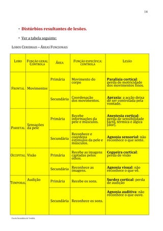 14




        Distúrbios resultantes de lesões.

        Ver a tabela seguinte:

LOBOS CEREBRAIS – ÁREAS FUNCIONAIS


  LOBO            FUNÇÃO GERAL     ÁREA      FUNÇÃO ESPECÍFICA:             LESÃO
                   CONTROLA                      CONTROLA




                                 Primária   Movimento do          Paralisia cortical:
                                            corpo                 perda de motricidade
                                                                  dos movimentos finos.
FRONTAL Movimentos

                                 Secundária Coordenação
                                            dos movimentos.
                                                                  Apraxia: a acção deixa
                                                                  de ser controlada pela
                                                                  vontade.


                                            Recebe                Anestesia cortical:
                                 Primária   informações da        perda de sensibilidade
                                            pele e músculos.      táctil, térmica e álgica
         Sensações                                                [dor].
PARIETAL da pele
                                            Reconhece e
                                 Secundária coordena da pele e
                                            estímulos
                                                                  Agnosia sensorial: não
                                                                  reconhece o que sente.
                                            músculos.

                                            Recebe as imagens     Cegueira cortical:
OCCIPITAL Visão                  Primária   captadas pelos        perda de visão
                                            olhos.

                                 Secundária Reconhece as
                                            imagens.
                                                                  Agnosia visual: não
                                                                  reconhece o que vê.

                  Audição        Primária   Recebe os sons.       Surdez cortical: perda
TEMPORAL                                                          de audição

                                                                  Agnosia auditiva: não
                                                                  reconhece o que ouve.
                                 Secundária Reconhece os sons.



Escola Secundária de Tondela
 