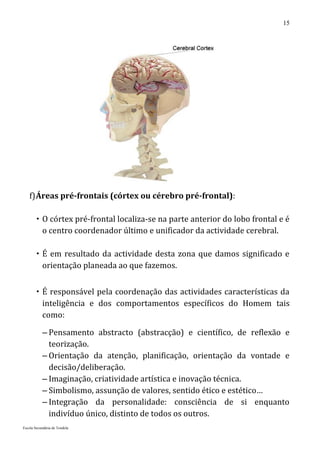 15




    f) Áreas pré-frontais (córtex ou cérebro pré-frontal):

         O córtex pré-frontal localiza-se na parte anterior do lobo frontal e é
          o centro coordenador último e unificador da actividade cerebral.

         É em resultado da actividade desta zona que damos significado e
          orientação planeada ao que fazemos.


         É responsável pela coordenação das actividades características da
          inteligência e dos comportamentos específicos do Homem tais
          como:

           – Pensamento abstracto (abstracção) e científico, de reflexão e
             teorização.
           – Orientação da atenção, planificação, orientação da vontade e
             decisão/deliberação.
           – Imaginação, criatividade artística e inovação técnica.
           – Simbolismo, assunção de valores, sentido ético e estético…
           – Integração da personalidade: consciência de si enquanto
             indivíduo único, distinto de todos os outros.
Escola Secundária de Tondela
 