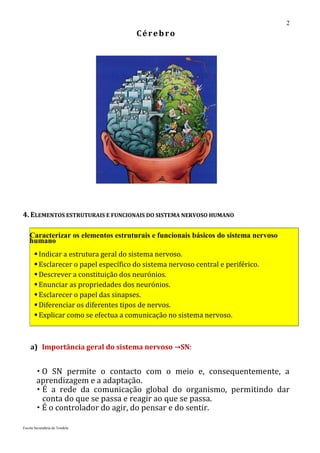 2
                                      Cérebro




4. ELEMENTOS ESTRUTURAIS E FUNCIONAIS DO SISTEMA NERVOSO HUMANO

    Caracterizar os elementos estruturais e funcionais básicos do sistema nervoso
    humano
       Indicar a estrutura geral do sistema nervoso.
       Esclarecer o papel específico do sistema nervoso central e periférico.
       Descrever a constituição dos neurónios.
       Enunciar as propriedades dos neurónios.
       Esclarecer o papel das sinapses.
       Diferenciar os diferentes tipos de nervos.
       Explicar como se efectua a comunicação no sistema nervoso.



    a) Importância geral do sistema nervoso →SN:


         O SN permite o contacto com o meio e, consequentemente, a
        aprendizagem e a adaptação.
         É a rede da comunicação global do organismo, permitindo dar
          conta do que se passa e reagir ao que se passa.
         É o controlador do agir, do pensar e do sentir.

Escola Secundária de Tondela
 