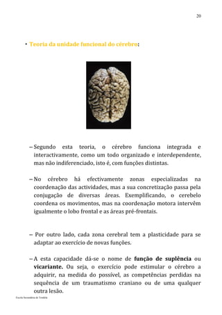 20




        Teoria da unidade funcional do cérebro:




           – Segundo esta teoria, o cérebro funciona integrada e
             interactivamente, como um todo organizado e interdependente,
             mas não indiferenciado, isto é, com funções distintas.

           – No cérebro há efectivamente zonas especializadas na
             coordenação das actividades, mas a sua concretização passa pela
             conjugação de diversas áreas. Exemplificando, o cerebelo
             coordena os movimentos, mas na coordenação motora intervêm
             igualmente o lobo frontal e as áreas pré-frontais.


           – Por outro lado, cada zona cerebral tem a plasticidade para se
            adaptar ao exercício de novas funções.

           – A esta capacidade dá-se o nome de função de suplência ou
             vicariante. Ou seja, o exercício pode estimular o cérebro a
             adquirir, na medida do possível, as competências perdidas na
             sequência de um traumatismo craniano ou de uma qualquer
             outra lesão.
Escola Secundária de Tondela
 