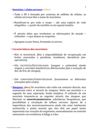 4
         Neurónios / células nervosas: (vídeo)

           – Todo o SN é formado por centenas de milhões de células: as
             células nervosas têm o nome de neurónios.

           – Ramificam-se por todo o corpo – são uma espécie de rede
             telegráfica – a partir do encéfalo ou da espinal medula.


           – É através deles que recebemos as informações do mundo –
             estímulos – e que damos as respostas.

           – Agrupam-se por feixes, formando os nervos.

         Características dos neurónios:

           – NÃO SE REGENERAM. [Daí a impossibilidade de recuperação em
             lesões associadas a paralisias, tromboses, dormência pós-
             operatória].

           – SÃO EXCITÁVEIS/EXCITABILIDADE. [reagem a estímulos] dando
             origem a correntes bioeléctricas diferenciadas [daí a sensação de
             dor, de frio, de cócegas].


           – SÃO CONDUTORES/CONDUTIBILIDADE [transmitem as diferentes
               sensações pelo corpo].

         Sinapses: (doc:) Os neurónios não estão em contacto directo, mas
          comunicam entre si através de sinapses. Entre um neurónio e o
          seguinte há uma separação: fenda sináptica. O estímulo de um
          neurónio transmite-se ao seguinte através das sinapses que
          libertam os neurotransmissores, substâncias bioquímicas, que
          possibilitam a circulação do influxo nervoso. Apesar de a
          importância dos neurotransmissores ainda não estar totalmente
          esclarecida, é ponto assente que eles têm um papel muito
          importante nas reacções do organismo, nomeadamente no controlo
          emocional e na resistência à fadiga e à dor.



Escola Secundária de Tondela
 