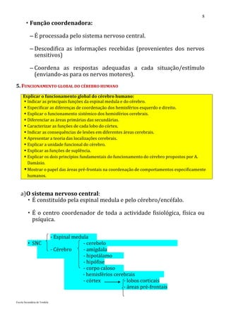 8
         Função coordenadora:

           – É processada pelo sistema nervoso central.

           – Descodifica as informações recebidas (provenientes dos nervos
             sensitivos)

           – Coordena as respostas adequadas a cada situação/estímulo
             (enviando-as para os nervos motores).
5. FUNCIONAMENTO GLOBAL DO CÉREBRO HUMANO
     Explicar o funcionamento global do cérebro humano:
      Indicar as principais funções da espinal medula e do cérebro.
      Especificar as diferenças de coordenação dos hemisférios esquerdo e direito.
      Explicar o funcionamento sistémico dos hemisférios cerebrais.
      Diferenciar as áreas primárias das secundárias.
      Caracterizar as funções de cada lobo do córtex.
      Indicar as consequências de lesões em diferentes áreas cerebrais.
      Apresentar a teoria das localizações cerebrais.
      Explicar a unidade funcional do cérebro.
      Explicar as funções de suplência.
      Explicar os dois princípios fundamentais do funcionamento do cérebro propostos por A.
       Damásio.
      Mostrar o papel das áreas pré-frontais na coordenação de comportamentos especificamente
       humanos.



   a) O sistema nervoso central:
       É constituído pela espinal medula e pelo cérebro/encéfalo.

          É o centro coordenador de toda a actividade fisiológica, física ou
           psíquica.

                               - Espinal medula
          SNC                               - cerebelo
                               - Cérebro     - amígdala
                                             - hipotálamo
                                             - hipófise
                                             - corpo caloso
                                             - hemisférios cerebrais
                                             - córtex          - lobos corticais
                                                               - áreas pré-frontais

Escola Secundária de Tondela
 