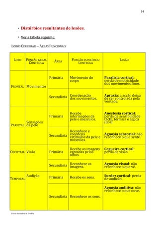 14




        Distúrbios resultantes de lesões.

        Ver a tabela seguinte:

LOBOS CEREBRAIS – ÁREAS FUNCIONAIS


 ...