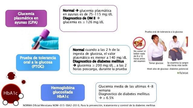 DIABETES MELLITUS TIPO 2 DIABETES MELLITUS TIPO 2