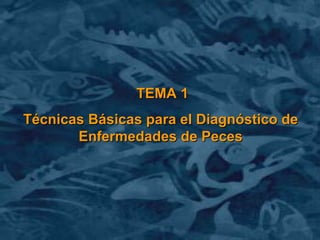 TEMA 1 Técnicas Básicas para el Diagnóstico de Enfermedades de Peces 