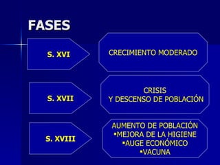 FASES S. XVI CRECIMIENTO MODERADO S. XVII CRISIS Y DESCENSO DE POBLACIÓN S. XVIII AUMENTO DE POBLACIÓN MEJORA DE LA HIGIENE AUGE ECONÓMICO VACUNA 