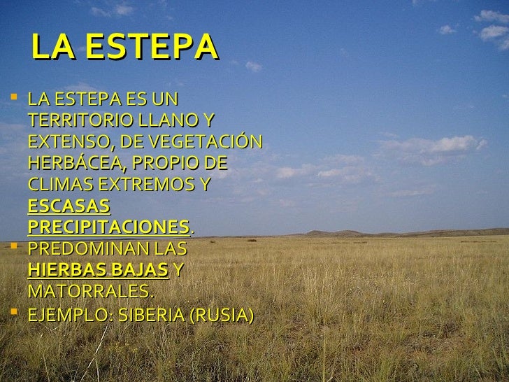 Tema1 el espacio físico