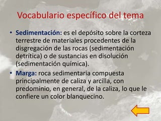 Vocabulario específico del tema
• Sedimentación: es el depósito sobre la corteza
terrestre de materiales procedentes de la
disgregación de las rocas (sedimentación
detrítica) o de sustancias en disolución
(sedimentación química).
• Marga: roca sedimentaria compuesta
principalmente de caliza y arcilla, con
predominio, en general, de la caliza, lo que le
confiere un color blanquecino.
 