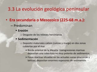3.3 La evolución geológica peninsular
• Era secundaria o Mesozoico (225-68 m.a.):
– Predominan
 Erosión
o Desgaste de los relieves hercinianos
 Sedimentación
o Depositó materiales calizos (calizas y marga) en dos zonas
cubiertas por el mar.
Borde oriental de la Meseta: transgresiones marinas
depositan una cobertura no muy potente de sedimentos.
Fosas marinas situadas en las actuales zonas pirenaicas y
béticas: depositan enormes espesores de sedimentos
 