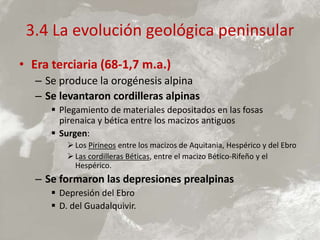 3.4 La evolución geológica peninsular
• Era terciaria (68-1,7 m.a.)
– Se produce la orogénesis alpina
– Se levantaron cordilleras alpinas
 Plegamiento de materiales depositados en las fosas
pirenaica y bética entre los macizos antiguos
 Surgen:
 Los Pirineos entre los macizos de Aquitania, Hespérico y del Ebro
 Las cordilleras Béticas, entre el macizo Bético-Rifeño y el
Hespérico.
– Se formaron las depresiones prealpinas
 Depresión del Ebro
 D. del Guadalquivir.
 