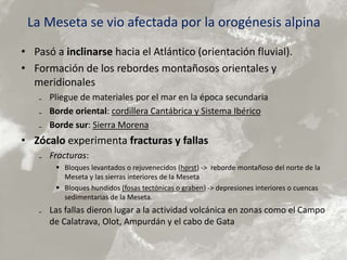 La Meseta se vio afectada por la orogénesis alpina
• Pasó a inclinarse hacia el Atlántico (orientación fluvial).
• Formación de los rebordes montañosos orientales y
meridionales
₋ Pliegue de materiales por el mar en la época secundaria
₋ Borde oriental: cordillera Cantábrica y Sistema Ibérico
₋ Borde sur: Sierra Morena
• Zócalo experimenta fracturas y fallas
₋ Fracturas:
 Bloques levantados o rejuvenecidos (horst) -> reborde montañoso del norte de la
Meseta y las sierras interiores de la Meseta
 Bloques hundidos (fosas tectónicas o graben) -> depresiones interiores o cuencas
sedimentarias de la Meseta.
₋ Las fallas dieron lugar a la actividad volcánica en zonas como el Campo
de Calatrava, Olot, Ampurdán y el cabo de Gata
 