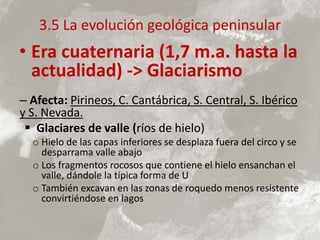 3.5 La evolución geológica peninsular
• Era cuaternaria (1,7 m.a. hasta la
actualidad) -> Glaciarismo
– Afecta: Pirineos, C. Cantábrica, S. Central, S. Ibérico
y S. Nevada.
 Glaciares de valle (ríos de hielo)
o Hielo de las capas inferiores se desplaza fuera del circo y se
desparrama valle abajo
o Los fragmentos rocosos que contiene el hielo ensanchan el
valle, dándole la típica forma de U
o También excavan en las zonas de roquedo menos resistente
convirtiéndose en lagos
 