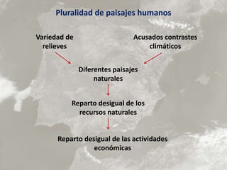 Reparto desigual de los
recursos naturales
Acusados contrastes
climáticos
Diferentes paisajes
naturales
Variedad de
relieves
Reparto desigual de las actividades
económicas
Pluralidad de paisajes humanos
 