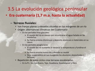 3.5 La evolución geológica peninsular
• Era cuaternaria (1,7 m.a. hasta la actualidad)
– Terrazas fluviales:
• Son franjas planas y elevadas situadas en los márgenes de un río
• Origen: alternancias climáticas del Cuaternario
– En los períodos fríos glaciales:
» El caudal del río es escaso por encontrarse el agua helada en las
montañas
» Su fuerza erosiva disminuye y deposita aluviones o materiales en su
cauce.
– En los períodos posglaciares
» El caudal del río aumenta al elevarse la temperatura y fundirse el
hielo
» Su fuerza erosiva aumenta y ahonda su caudal
» Deja suspendidos en sus márgenes los aluviones depositados =
terrazas.
• Repetición de estos ciclos crea terrazas escalonadas.
– En la P.I.: los ríos Duero, Tajo, Guadiana, Guadalquivir y Ebro
 