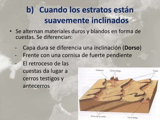 b) Cuando los estratos están
suavemente inclinados
• Se alternan materiales duros y blandos en forma de
cuestas. Se diferencian:
- Capa dura se diferencia una inclinación (Dorso)
- Frente con una cornisa de fuerte pendiente
- El retroceso de las
cuestas da lugar a
cerros testigos y
antecerros
 