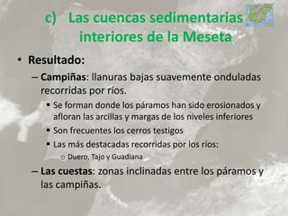 c) Las cuencas sedimentarias
interiores de la Meseta
• Resultado:
– Campiñas: llanuras bajas suavemente onduladas
recorridas por ríos.
 Se forman donde los páramos han sido erosionados y
afloran las arcillas y margas de los niveles inferiores
 Son frecuentes los cerros testigos
 Las más destacadas recorridas por los ríos:
o Duero, Tajo y Guadiana
– Las cuestas: zonas inclinadas entre los páramos y
las campiñas.
 