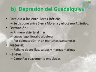b) Depresión del Guadalquivir
• Paralela a las cordilleras Béticas
– Se dispone entre Sierra Morena y el océano Atlántico.
• Formación:
– Primero abierta al mar
– Luego lago litoral o albufera
– Por colmatación -> en marismas pantanosas
• Material:
– Relleno de arcillas, calizas y margas marinas
• Relieve
– Campiñas suavemente onduladas
 
