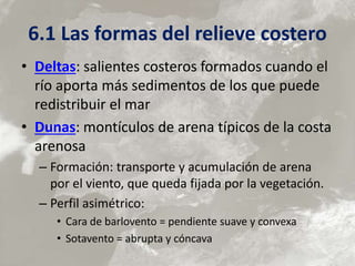 6.1 Las formas del relieve costero
• Deltas: salientes costeros formados cuando el
río aporta más sedimentos de los que puede
redistribuir el mar
• Dunas: montículos de arena típicos de la costa
arenosa
– Formación: transporte y acumulación de arena
por el viento, que queda fijada por la vegetación.
– Perfil asimétrico:
• Cara de barlovento = pendiente suave y convexa
• Sotavento = abrupta y cóncava
 