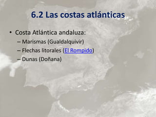 6.2 Las costas atlánticas
• Costa Atlántica andaluza:
– Marismas (Gualdalquivir)
– Flechas litorales (El Rompido)
– Dunas (Doñana)
 