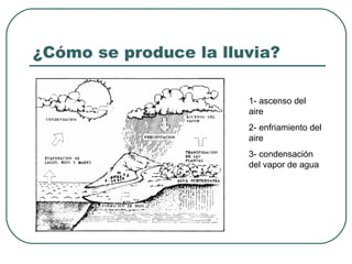 ¿Cómo se produce la lluvia? 1- ascenso del aire 2- enfriamiento del aire 3- condensación del vapor de agua 