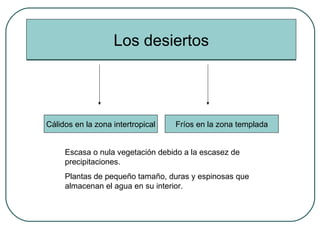 Los desiertos Cálidos en la zona intertropical Fríos en la zona templada Escasa o nula vegetación debido a la escasez de precipitaciones. Plantas de pequeño tamaño, duras y espinosas que almacenan el agua en su interior. 