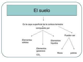 El suelo Es la capa superficial de la corteza terrestre compuesto por Elementos sólidos Elementos líquidos Elementos gaseosos CO 2 Pueden ser Ricos pobres 