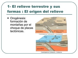 1- El relieve terrestre y sus formas : El origen del relieve Orogénesis: formación de montañas por el choque de placas tectónicas. 