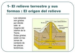 1- El relieve terrestre y sus formas : El origen del relieve Los volcanes son grietas por dónde sale  el magma del interior de la Tierra.  Estas grietas están en las zonas de contacto de las placas tectónicas. 