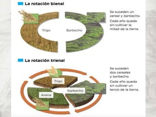 4º de ESO - Tema 1 - El siglo XVIII. La época de la ilustración
