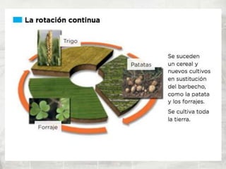 4º de ESO - Tema 1 - El siglo XVIII. La época de la ilustración