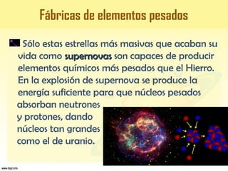 Sólo estas estrellas más masivas que acaban su
vida como supernovassupernovas son capaces de producir
elementos químicos más pesados que el Hierro.
En la explosión de supernova se produce la
energía suficiente para que núcleos pesados
absorban neutrones
y protones, dando
núcleos tan grandes
como el de uranio.
Fábricas de elementos pesados
Fábricas de elementos pesados
 
