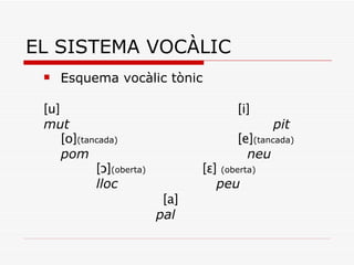 EL SISTEMA VOCÀLIC Esquema vocàlic tònic [u] [i] mut pit [o] (tancada) [e] (tancada) pom   neu [ ɔ] (oberta) [ɛ]  (oberta) lloc   peu   [a]   pal 
