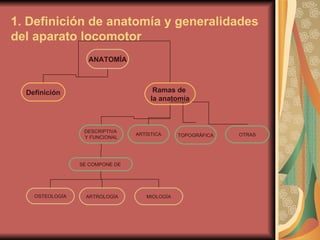 1. Definición de anatomía y generalidades del aparato locomotor ANATOMÍA Definición Ramas de  la anatomía DESCRIPTIVA  Y FUNCIONAL ARTÍSTICA TOPOGRÁFICA OTRAS SE COMPONE DE  OSTEOLOGÍA MIOLOGÍA ARTROLOGÍA 