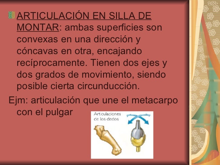 Tema 1. fundamentos.b. introducción